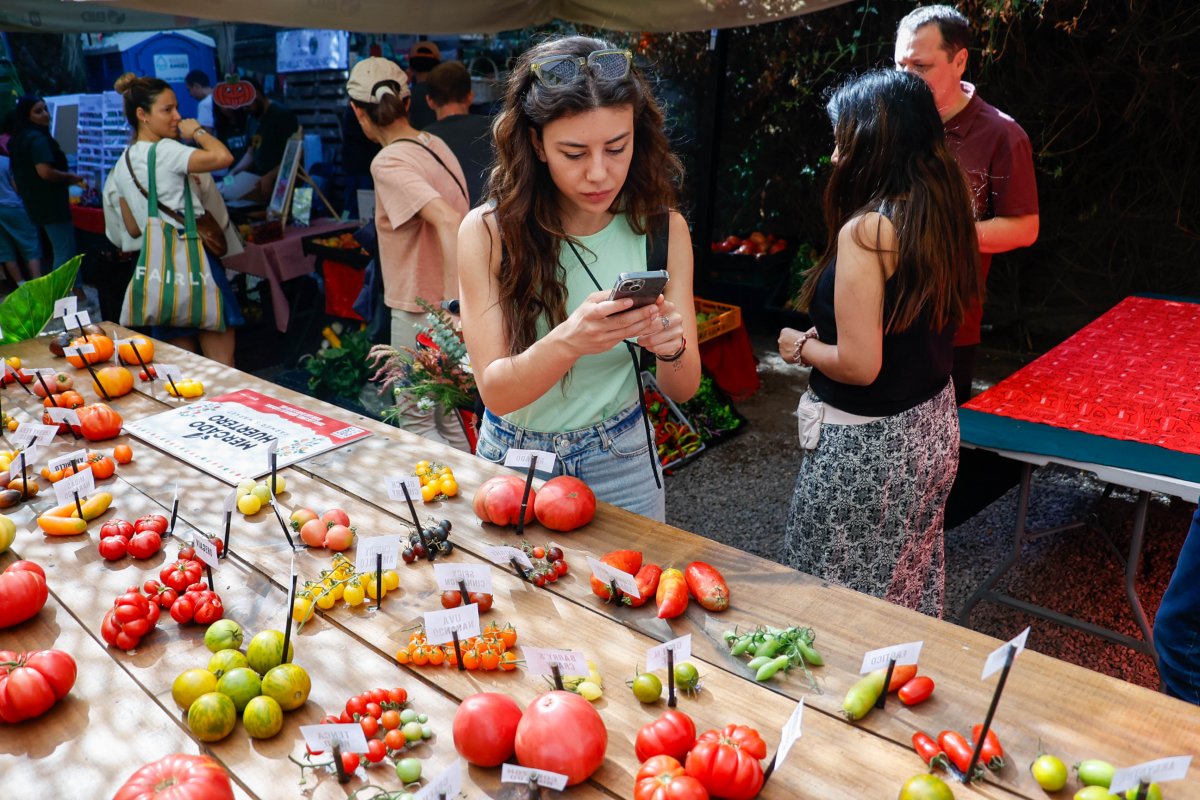 Feria de emprendedores